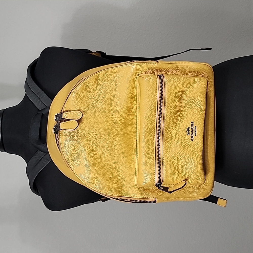 Coach backpack